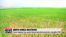 Severe heatwave leads to reduction of agricultural production, casualties in North Korea: IFRC