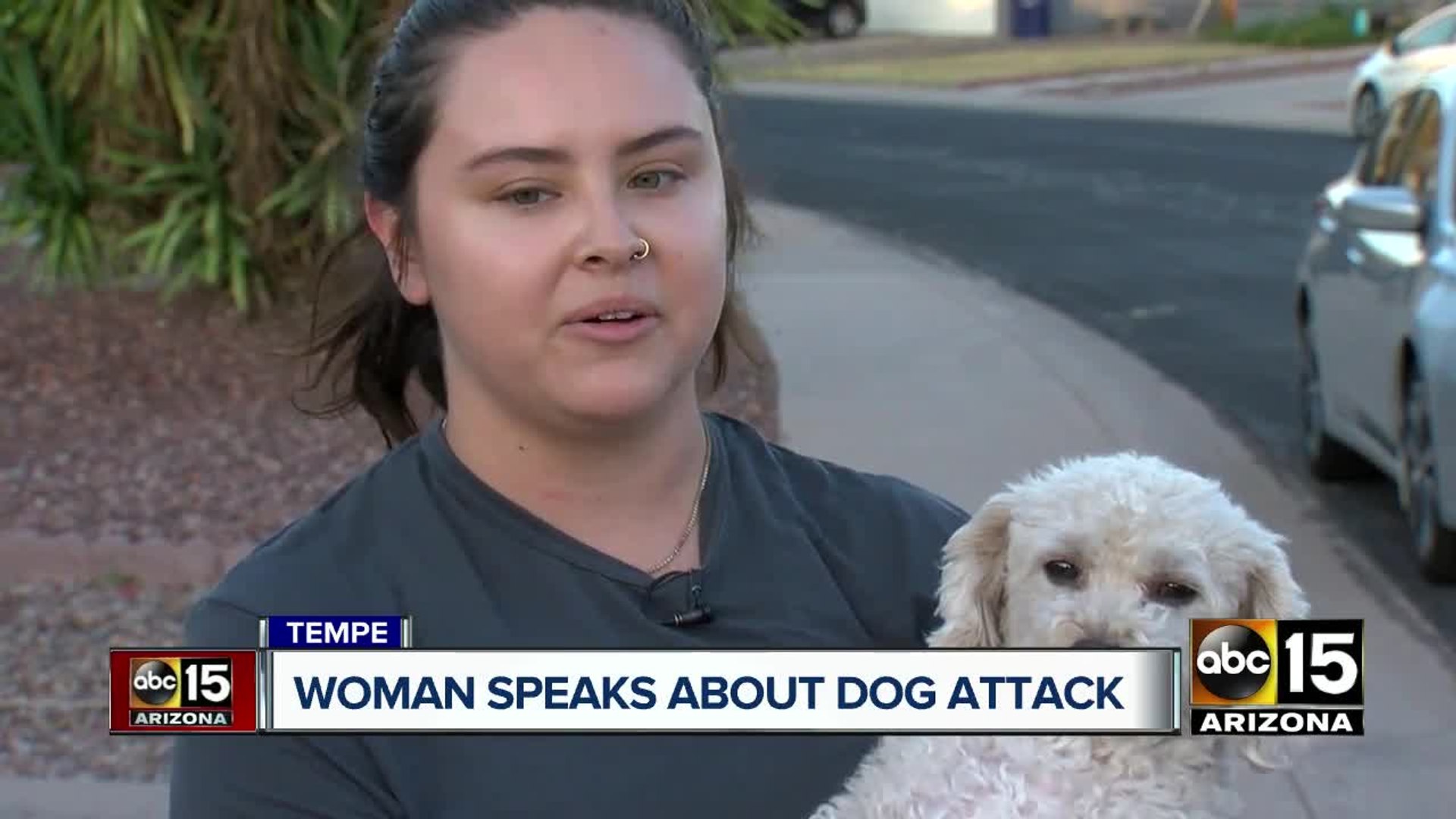 ⁣Tempe woman and pet allegedly attacked by 2 dogs
