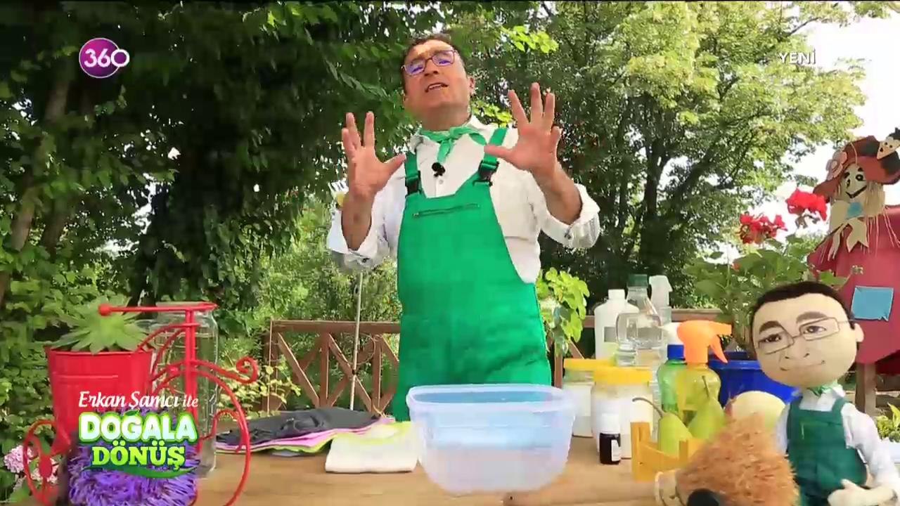 Doğala Dönüş