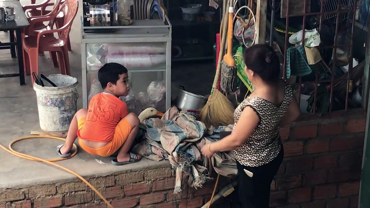 Un enfant protège une oie que sa mère veut tuer pour le repas