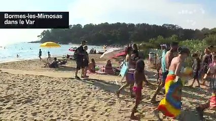 Dans le Var, les vacanciers luttent contre la chaleur