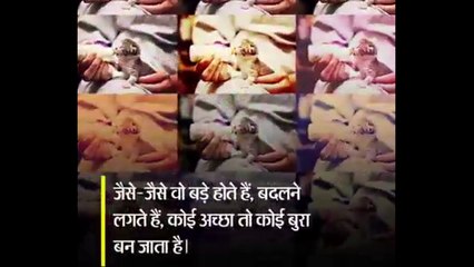 जानवरो के बच्चो की ऐसी खुबसूरत तस्वीरें आपने पहले नहीं देखी होंगी