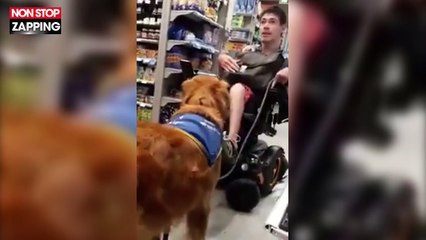 Polémique dans un Carrefour qui refuse un chien d'assistance à un handicapé (vidéo)