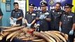 RM80mil of ivory and pangolin scales seized in Sabah