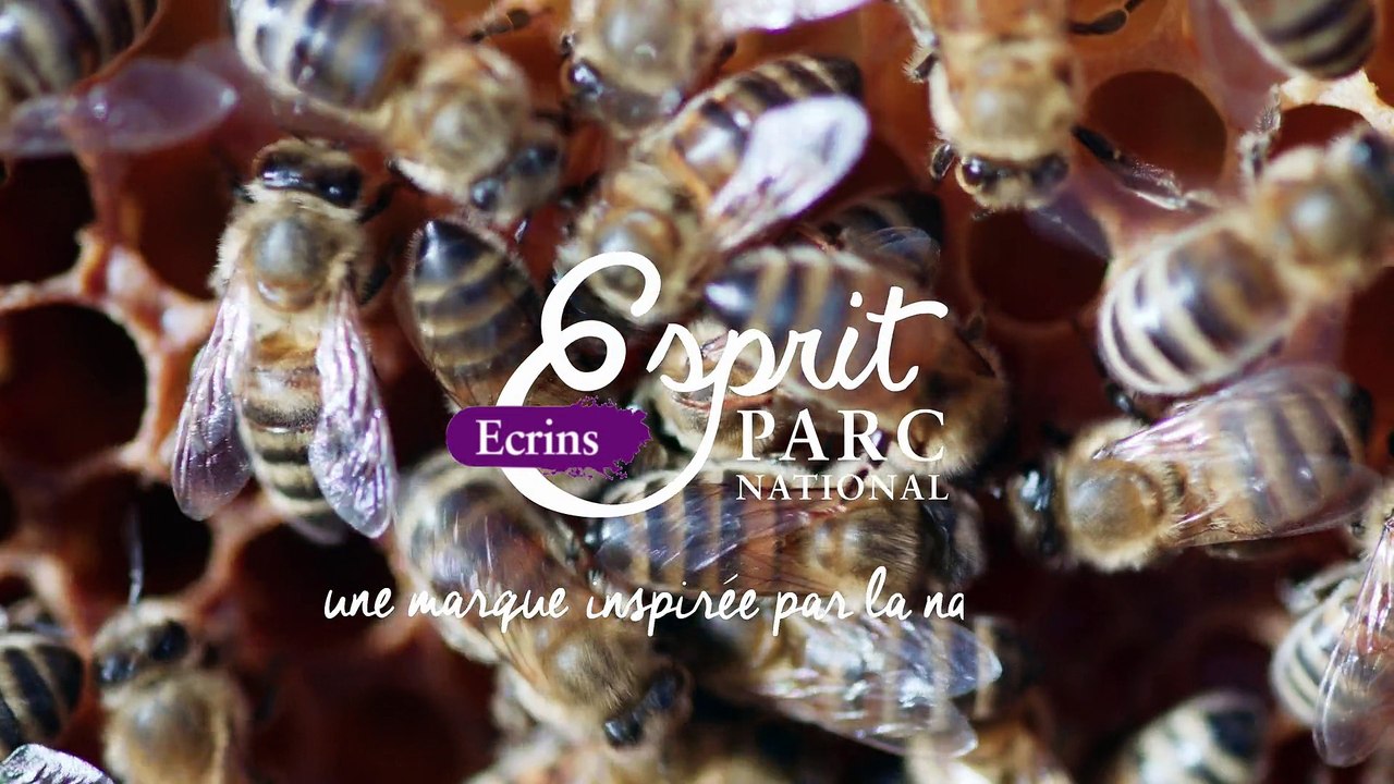 L’Esprit parc national par Franck Violin - Apiculteur