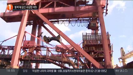 ‘톤백’에 담긴 수상한 석탄