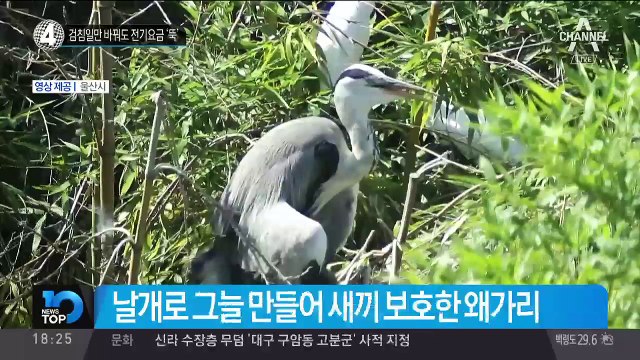 검침일만 바꿔도 전기요금 ‘뚝’