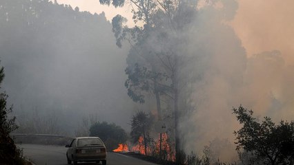 Cinco dias de fogo e muitas questões por responder em Monchique