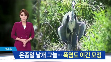 ‘내 새끼 더울라’ 날개 그늘…동물도 힘겨운 폭염