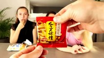 Dégustation de nourriture du JAPON ! Biscuits et bonbons asiatiques ! Yummy Food ! Okashibox