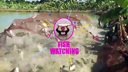 Kids Fishing Videos When He Got First Fish