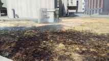 Incendie de pelouse au ministère des Finances de Charleroi 2