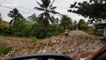 Marche de milliers de canards en Thailande !