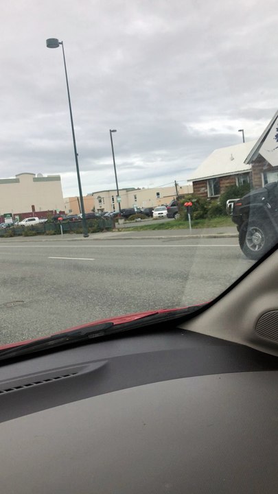 Alaskan Traffic Jam