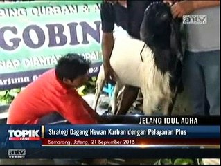 Strategi Penjualan Hewan Kurban dengan Pelayanan Plus