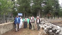 Hayırsever İş Adamı Köyünde 200 Mezar Yaptırdı - Antalya