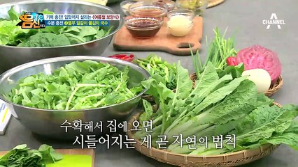 시든 열무가 보양식? 수분 충전, 기력 충전시킬 수 있는 여름철 보양식의 대변신!