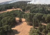 Aerial Footage Shows Ranch Fire Burning Through Mendocino National Forest
