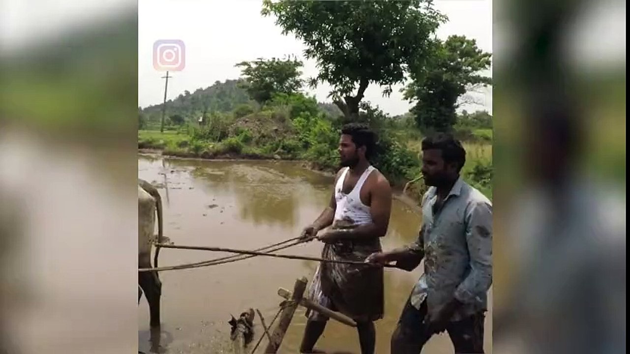 Hindistanlı gençlerden arabadan inme dansı