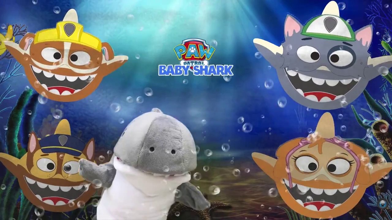 Baby Shark Song Paw Patrol Chase Rubble Doo Doo Doo Puppet Nursery Rhyme Video For Kids