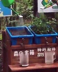 Les effets négatives de la déforestation sur les inondations !
