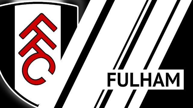 Fulham - Présentation de la saison