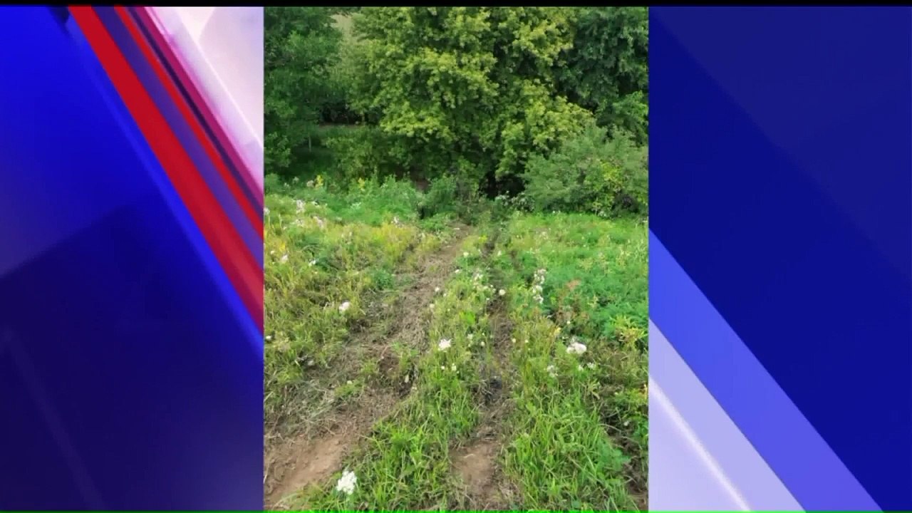 Volunteers Help Man Find Missing Puppy After Vehicle Wreck