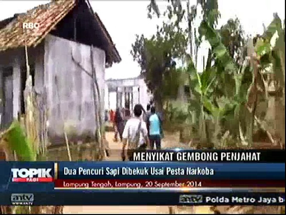 Dua Pencuri Sapi Dibekuk Usai Pesta Narkoba