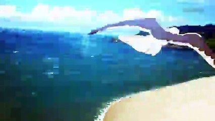 【FGO】「サーヴァント･サマー･フェスティバル！」2018年水着イベントTVCM...