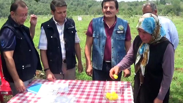 Devletin anlaşmazlık nedeniyle el koyduğu arazi yöre halkına tahsis edildi - KAHRAMANMARAŞ