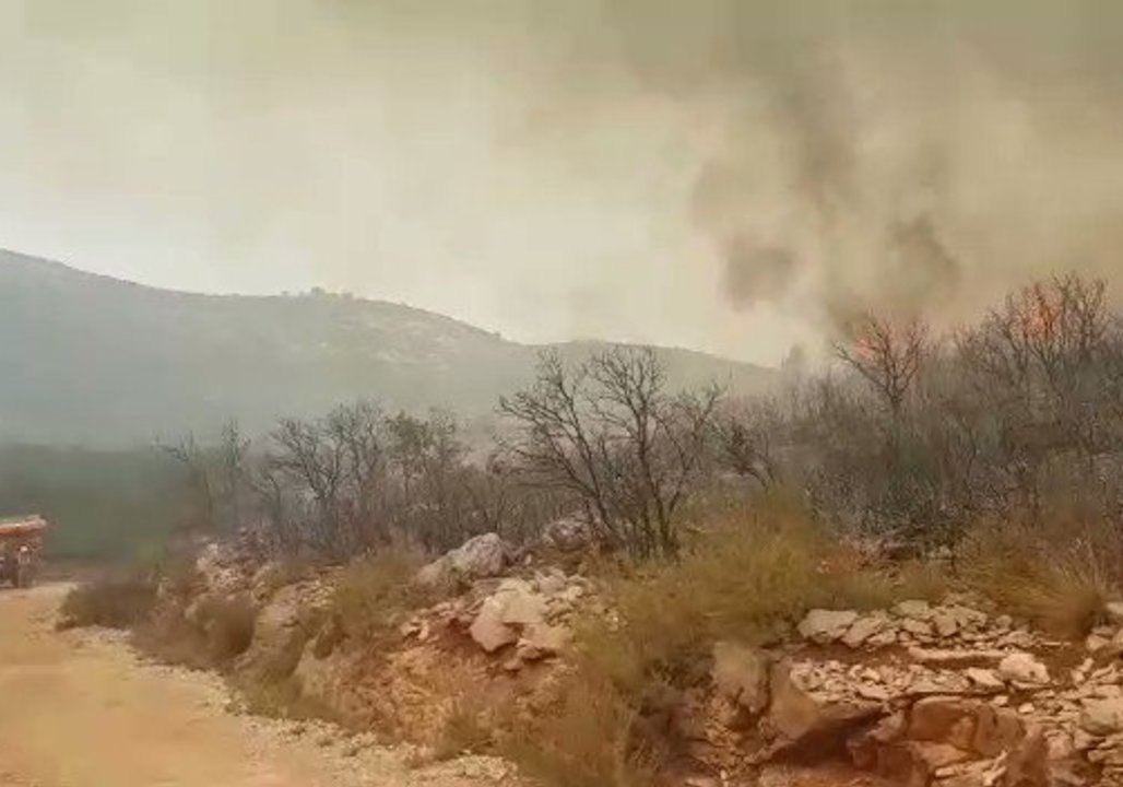 Valencia Firefighters Tackle Remaining Forest F...