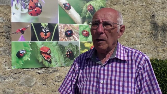 Hautes-Alpes : les insectes en rouge et noir vous attendent au domaine de Charance à Gap