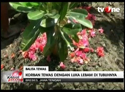 Bocah 1,5 Tahun Tewas Ditangan Ibu Kandungnya Sendiri