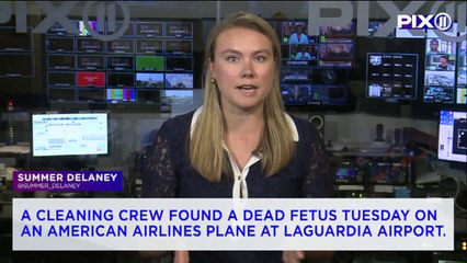 Dead Fetus Found on Plane at LaGuardia Airport