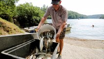 Acqua troppo calda, moria di pesci nel Reno