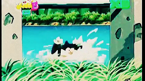 COMEDY & ENTERTAINMENT