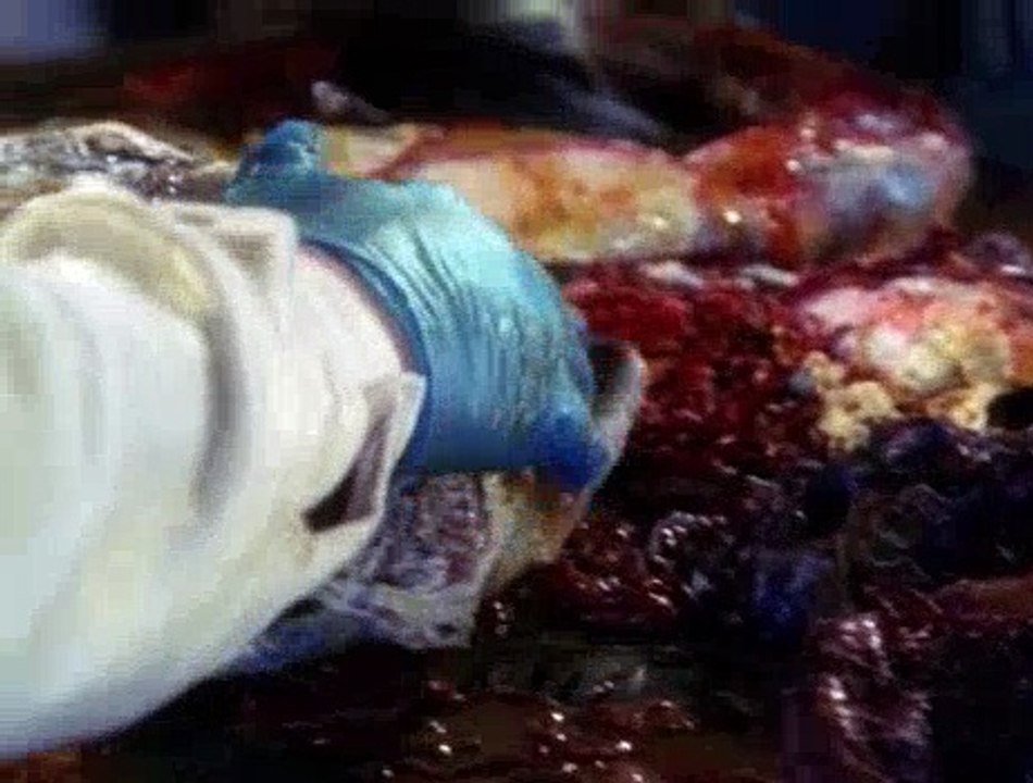 Farscape S03E18 - Fractures