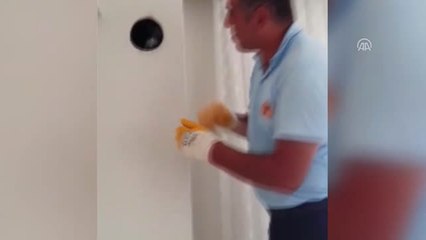 Sivas'ta Güvercin ve Leylek Kurtarma Operasyonu