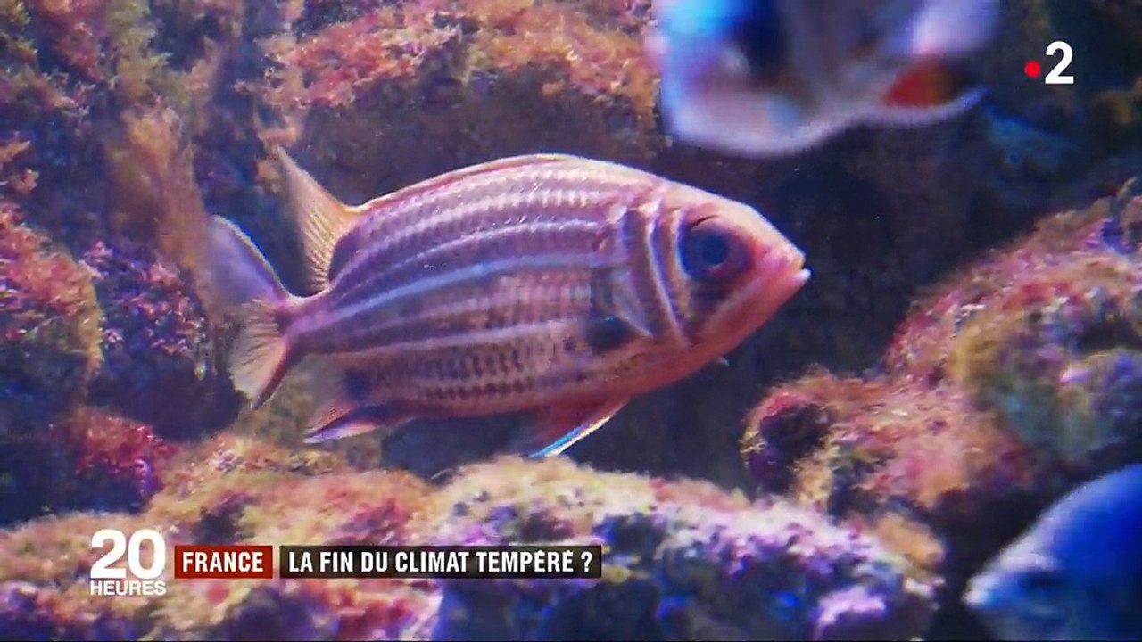 Canicule : la fin du climat tempéré en France ?