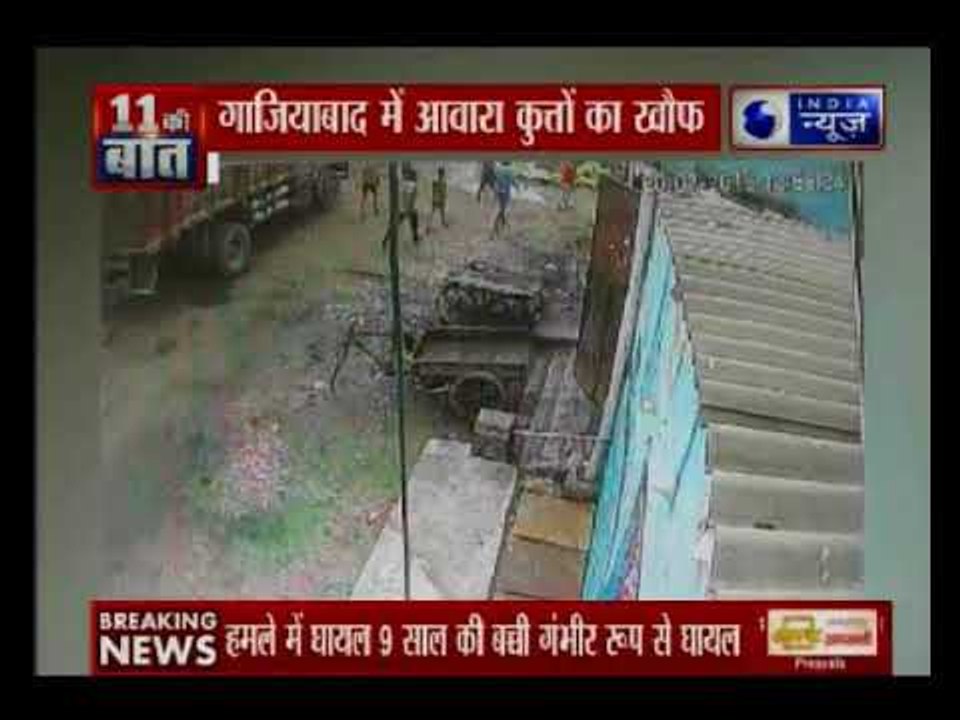 गाजियाबाद में आवारा कुत्तों ने कई लोगों को घायल किया; हमले में घायल 9 साल की बच्ची गंभीर रूप से घायल