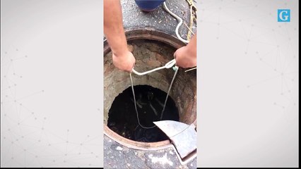 Resgate de cachorro em bueiro