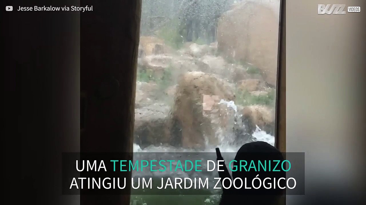 Tempestade de granizo atinge jardim zoológico nos EUA