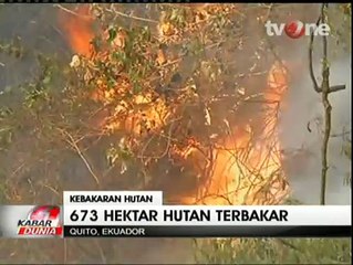 637 Hektare Hutan di Ekuador Hangus Terbakar