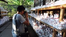 Templo de “gatos de la suerte” en Tokio atrae a 'instagramers'