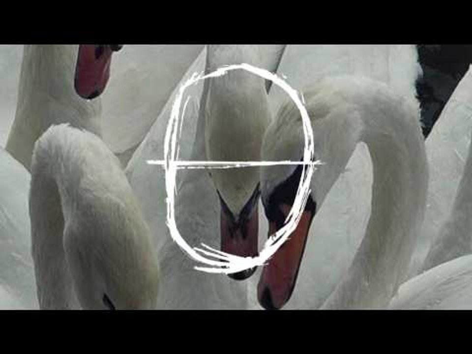frank ocean - white ferrari (jg edit)