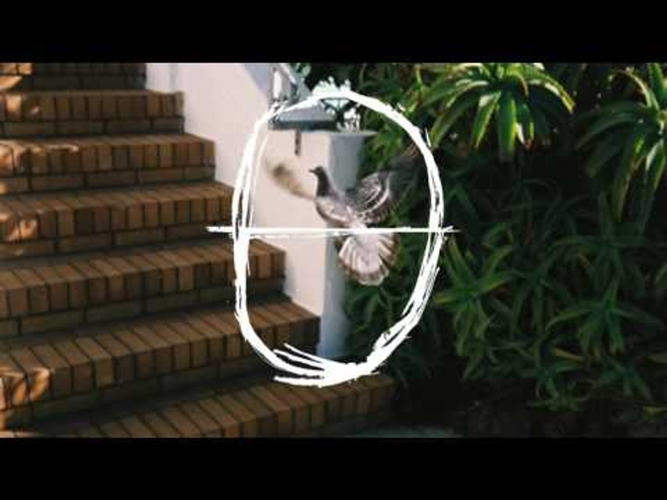 ross - how'd you like it cover (african vibration remix)