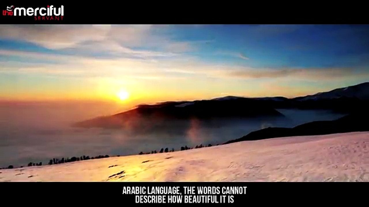 My Arabic Language Official