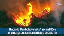 Incendios forestales no cesan en 3 ciudades del mundo