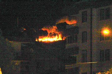 Ayvalık'ta Orman Yangını