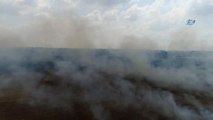 Çukurova'da Mısır Hasadıyla Birlikte Başlayan Anız Yangınları Havadan Böyle Görüntülendi